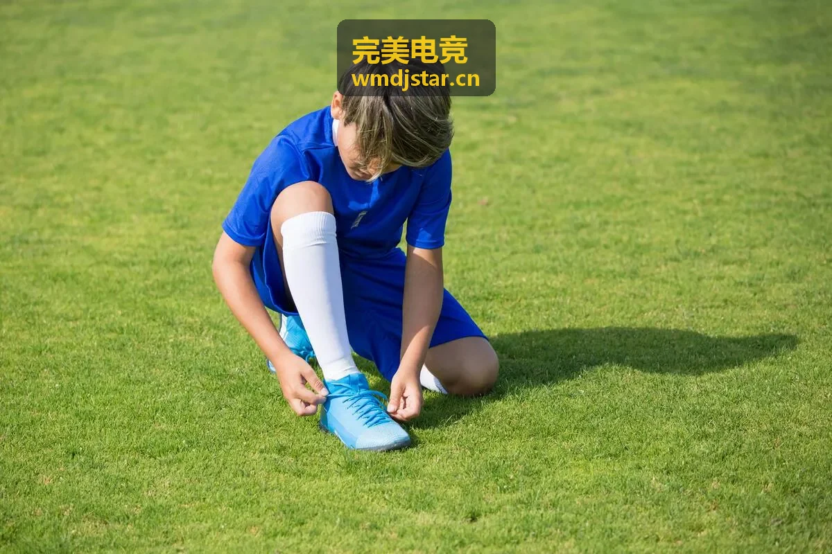 完美电竞邀请赛